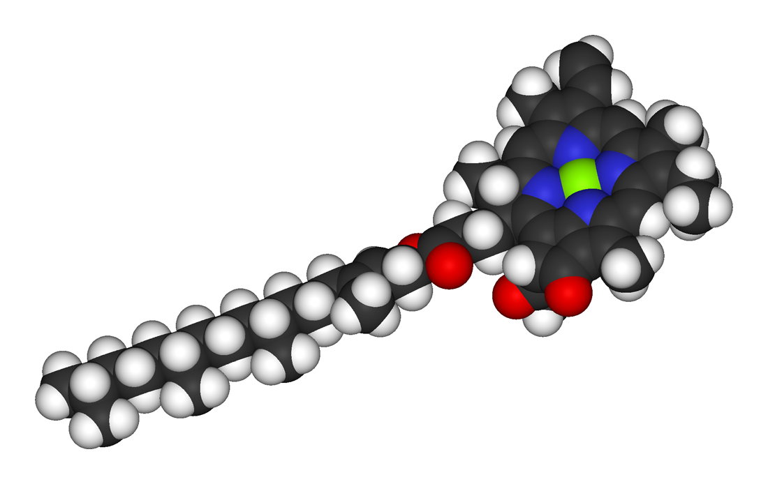 space-filling-model-chlorophyll-molecule-which-involved-phot.png