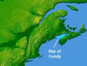 Реферат: Tidal Power In The Bay Of Fundy