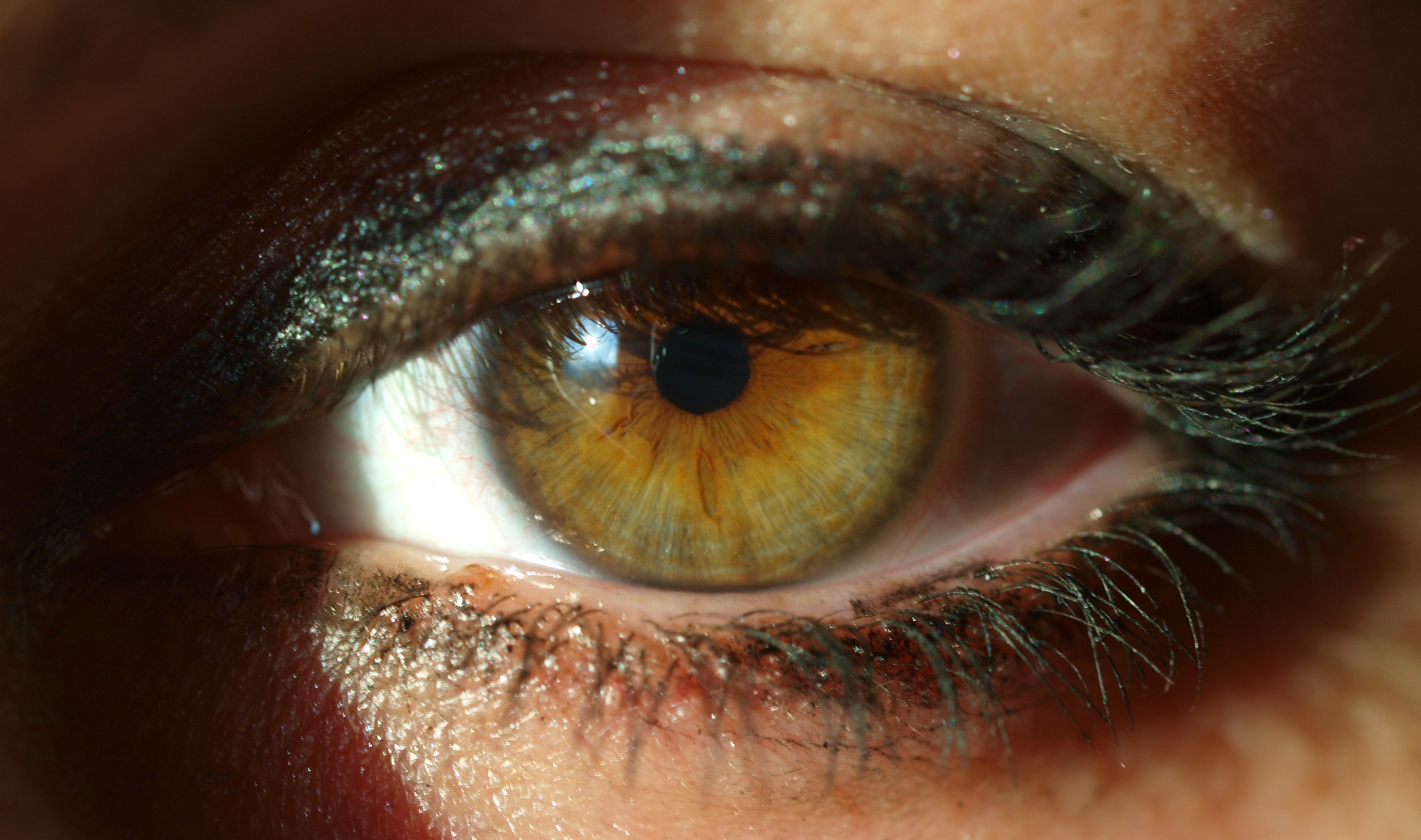 Human Eye Vs. Camera Lens - WriteWork