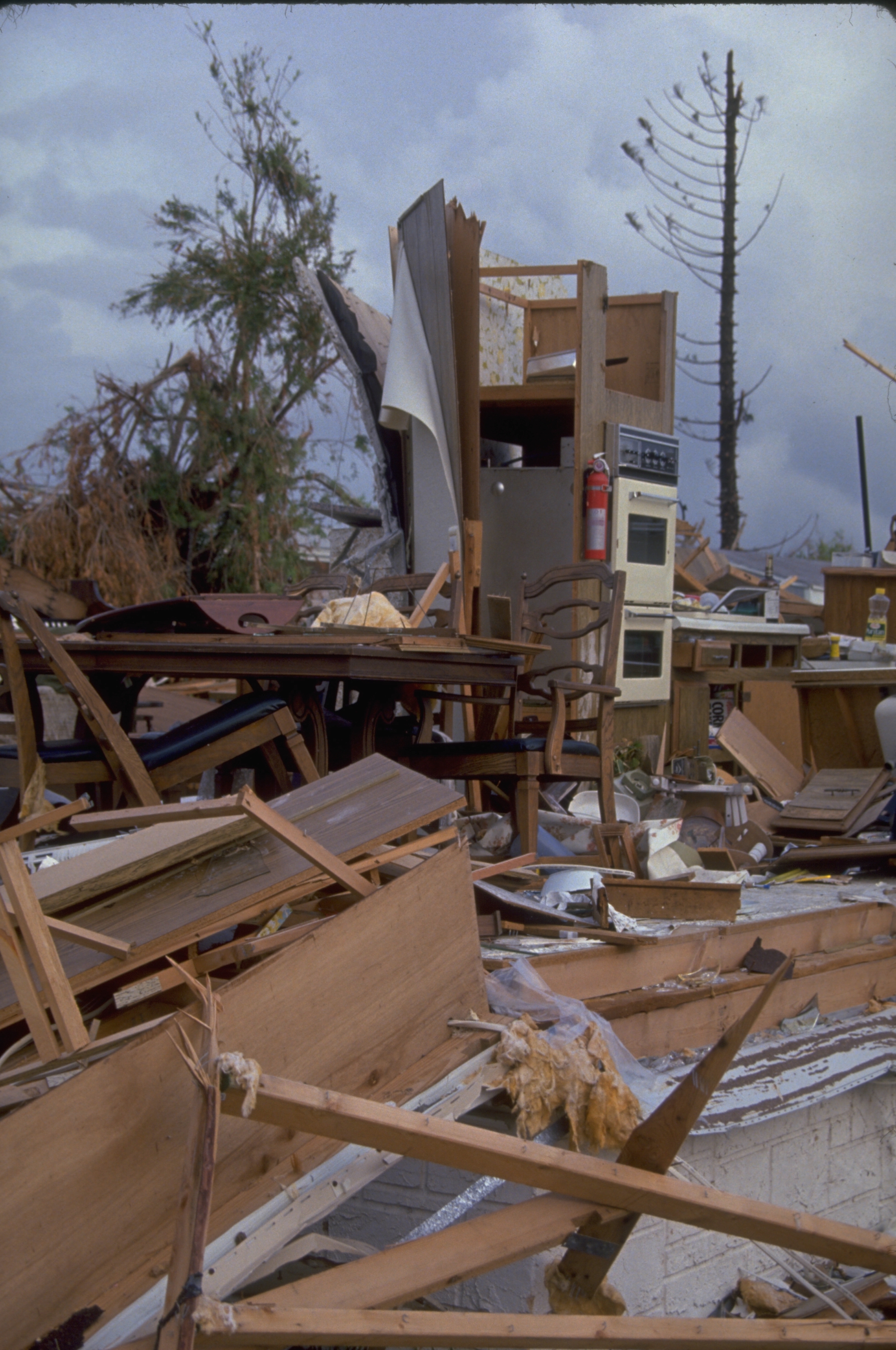 Hurricane Andrew Essay